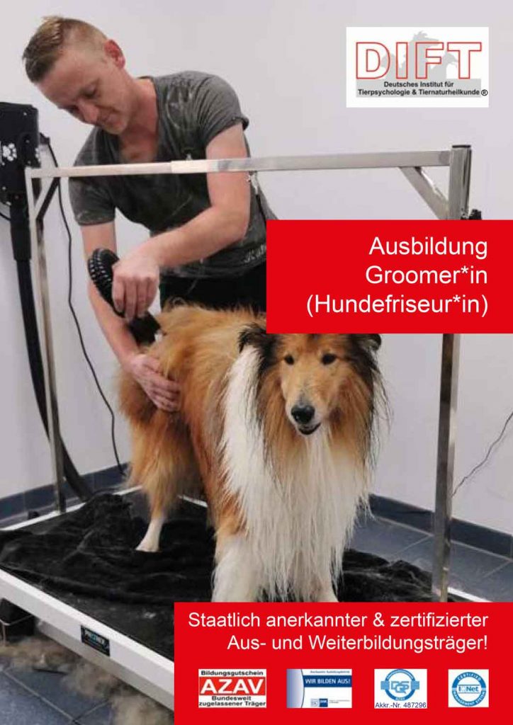 Groomer alle Inhalte